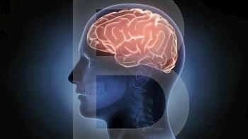 Brain-Left Hemisphere On A Black Background 3D illustration. Brain-Left Hemisphere On A Black Background