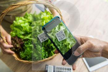 Customers buy organic vegetables from hydroponics farm and pay using QR code scanning system payment at food market shop. Technology and futuristic business. E wallet and digital cashless concept
