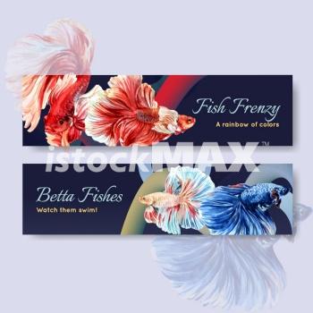 Banner template with Siames fighting fish concept design for advertise and marketing watercolor vector illustration
