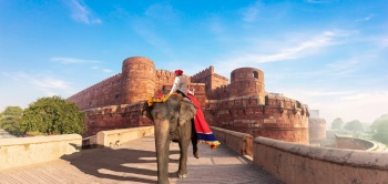 Agra Fort of India, traditional elephant ride.
