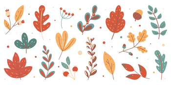 Autumn colorful set. Collection of hand drawn fallen leaves seasonal vector illustration. Autumn set. Collection of hand drawn fallen leaves seasonal vector illustration