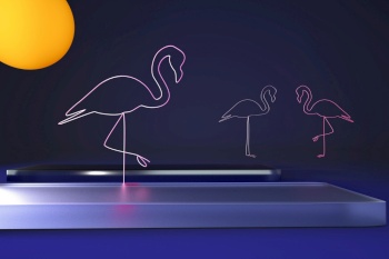 3D podium with flamingo. Abstract minimal rim showcase for product promotion, 3d illustration.. 3D podium with flamingo. Abstract minimal rim showcase for product promotion.