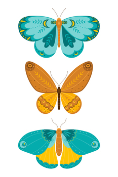 Butterflies set in hand drawing style. A variety of butterflies on a white background. Vector illustration. Butterflies set in hand drawing style. A variety of butterflies on a white background.