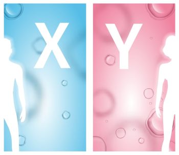 Abstract Faceless Man and Woman White Silhouettes Stand on Blue and Pink Background with Microscopic Cells View. X and Y Letters. Vertical Medical Banner Set, Copy Space. Vector Realistic Illustration. Man and Woman White Silhouettes. X and Y Letters.
