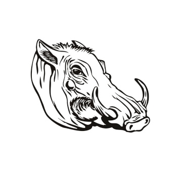 Retro woodcut style illustration of head of a common warthog or Phacochoerus africanus, a wild member of the pig family Suidae found in sub-Saharan Africa on isolated background in black and white.. Head of Common Warthog or Phacochoerus Africanus Side View Retro Woodcut Black and White