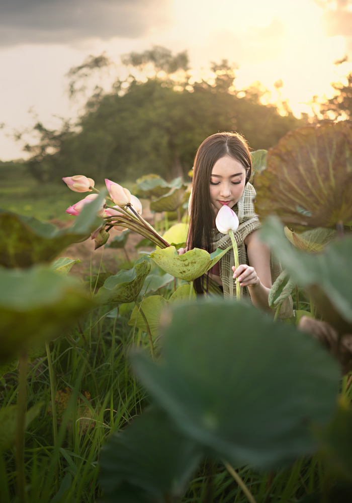beautiful woman in traditional asian dresses harvesting water lilies in garden. woman harvesting water lilies