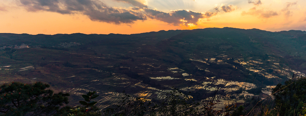 Panoramic view of Hani Terraced rice fields of YuanYang, China during the golden hour