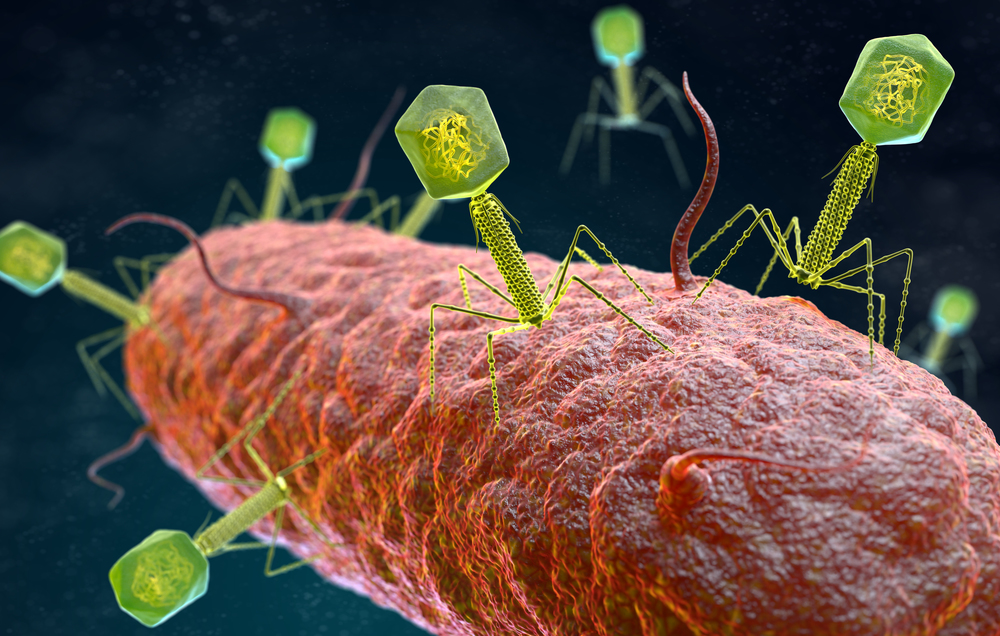 illustration of the Bacteriophage Virus that infects and replicates within a bacterium. 3D illustration. Bacteriophage virus attacking a bacterium