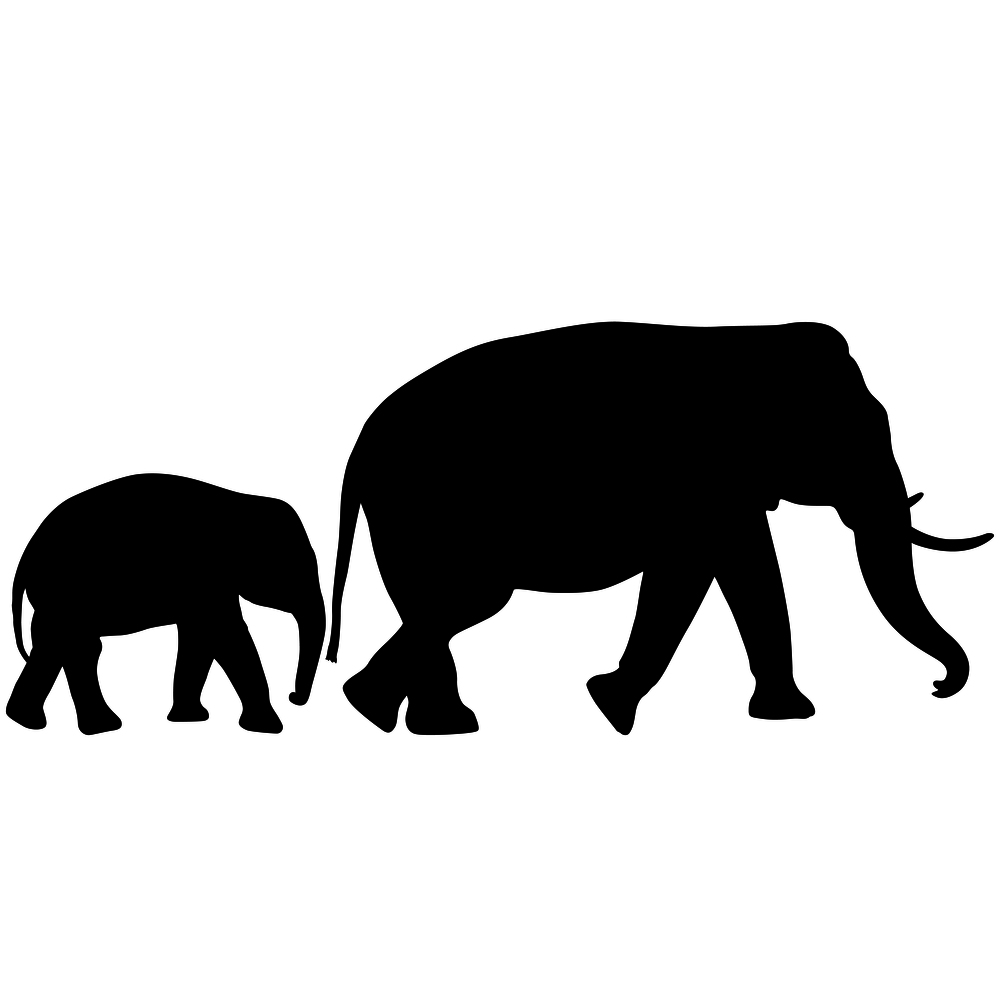 Silhouette of an African elephant with a little elephant on a white background.. Silhouette of an African elephant with a little elephant on a white background