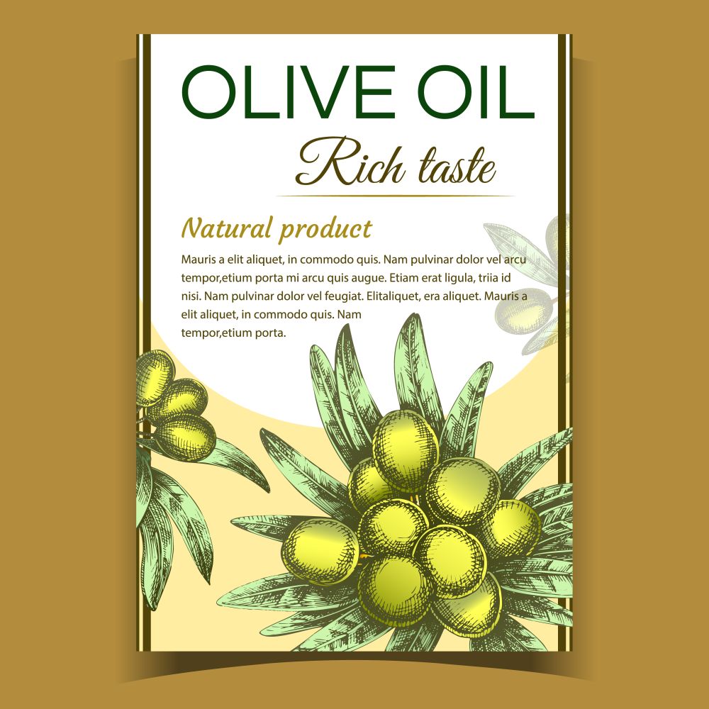 Agricultural Olive Tree Branch on Poster Vector. Leaves And Olive Vegetable Plant and Rich Taste Phrase of Oil Natural Product Advertising Banner. Designed In Vintage Style Template Illustration. Agricultural Olive Tree Branch on Poster Vector
