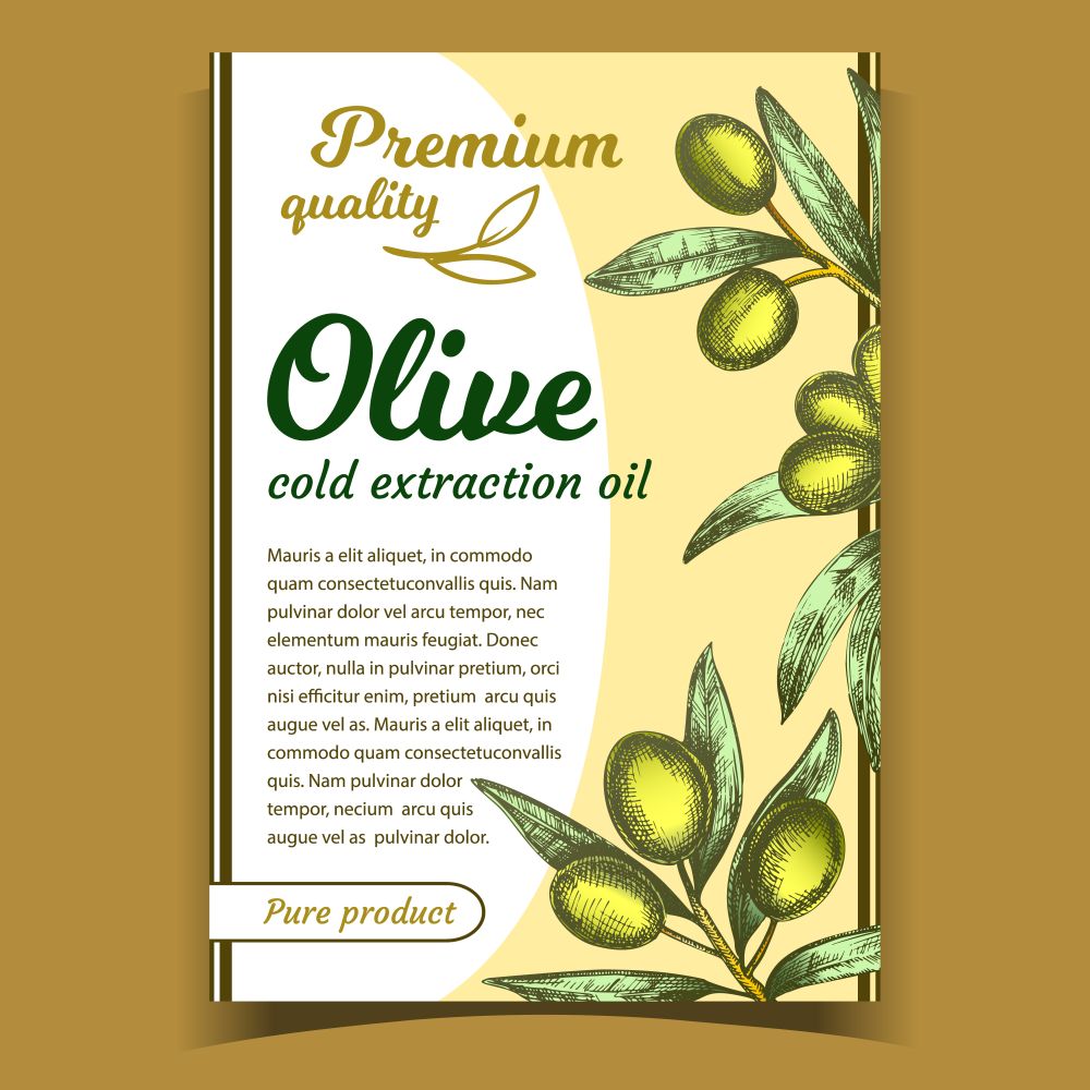 Olive Oil Premium Quality Product Poster Vector. Agricultural Olive Berry And Green Leaves on Stick. Information Creative Banner. Gastronomy Diet Healthy Product Layout Multicolor Illustration. Olive Oil Premium Quality Product Poster Vector
