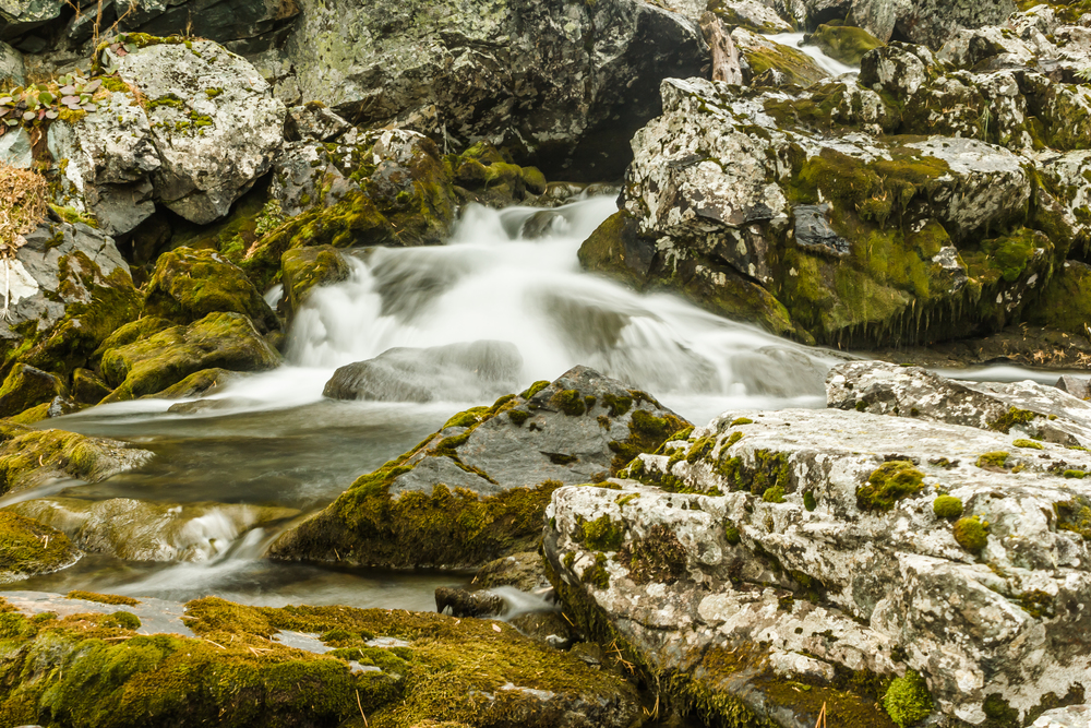 Waterfall in rocks. Fast mountain river