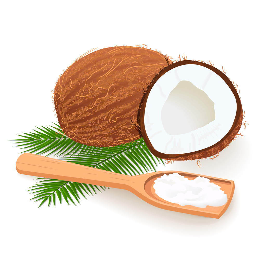 Coconut butter on wooden spoon. Whole and cracked Ripe coconuts and palm leaves. Copra. cope space. label template. Tropical Vector illustration. Idea for logo, perfumery, cosmetics, drinks, food. Coconut butter on wooden spoon. Whole and cracked Ripe coconuts and palm leaves. Copra. cope space.