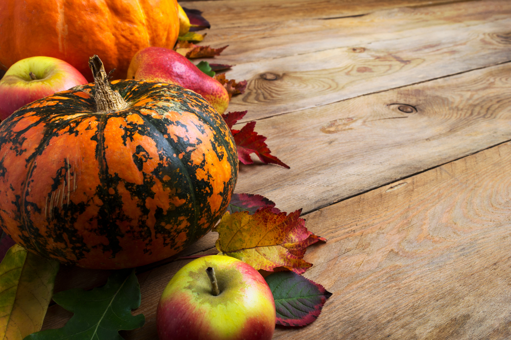 Fall rustic abundance cornucopia background with pumpkin, apples, pears, copy space