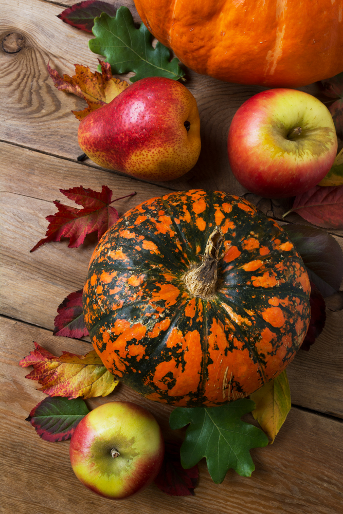 Fall rustic abundance cornucopia decor with pumpkin, apples, pear, red green yellow colorful fall leaves
