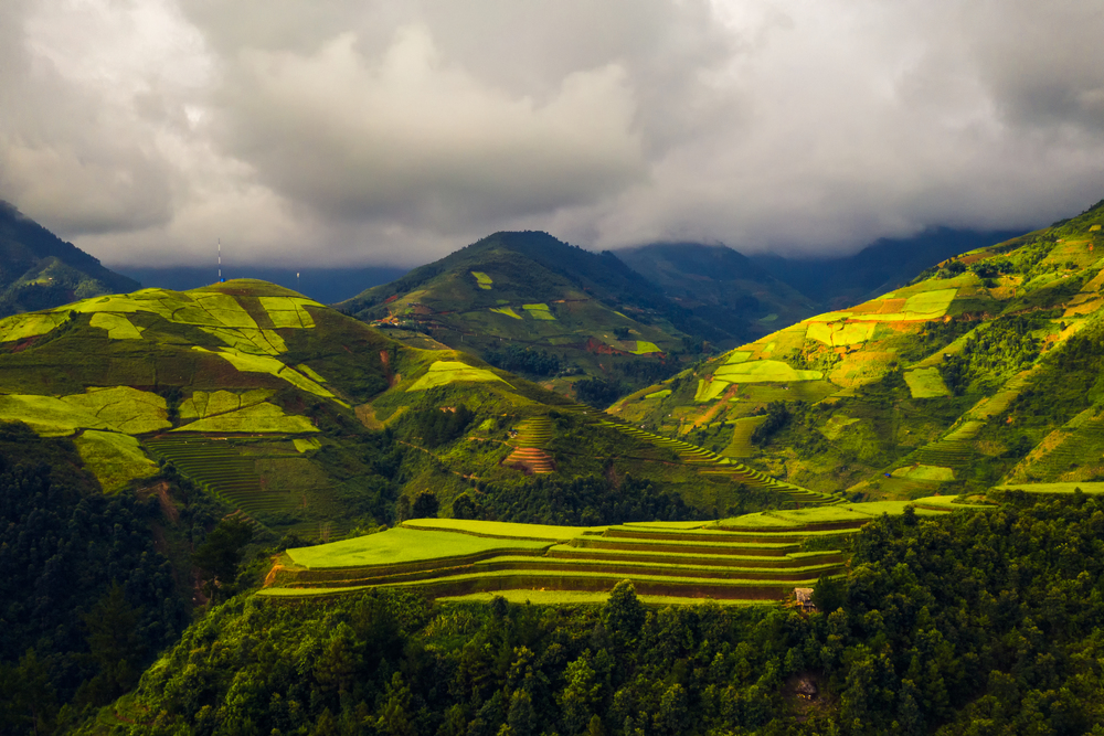 Paddy rice terraces, agricultural fields in countryside or rural area of Mu Cang Chai, Yen Bai, mountain hills valley on summer in South East Asia, Vietnam. Nature landscape background.