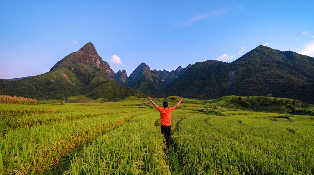 An Asian tourist man watching at Fansipan mountain hills with paddy rice agricultural field valley in summer in travel trip and holidays vacation concept, Sapa, Vietnam.