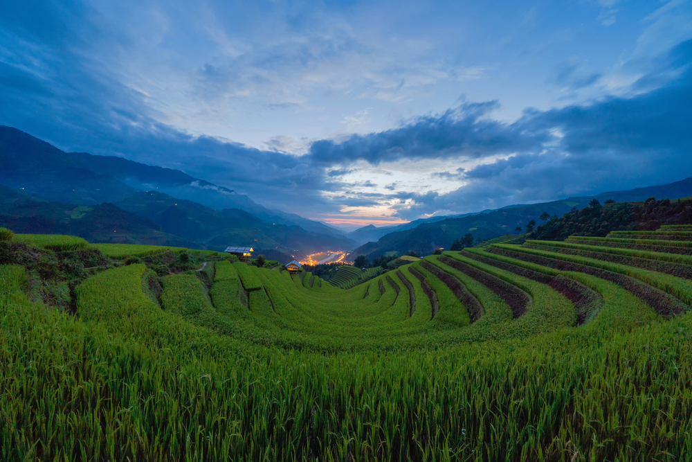 Aerial top view of paddy rice terraces, green agricultural fields in countryside or rural area of Mu Cang Chai, Yen Bai, mountain hills valley at sunset in Asia, Vietnam. Nature landscape background.
