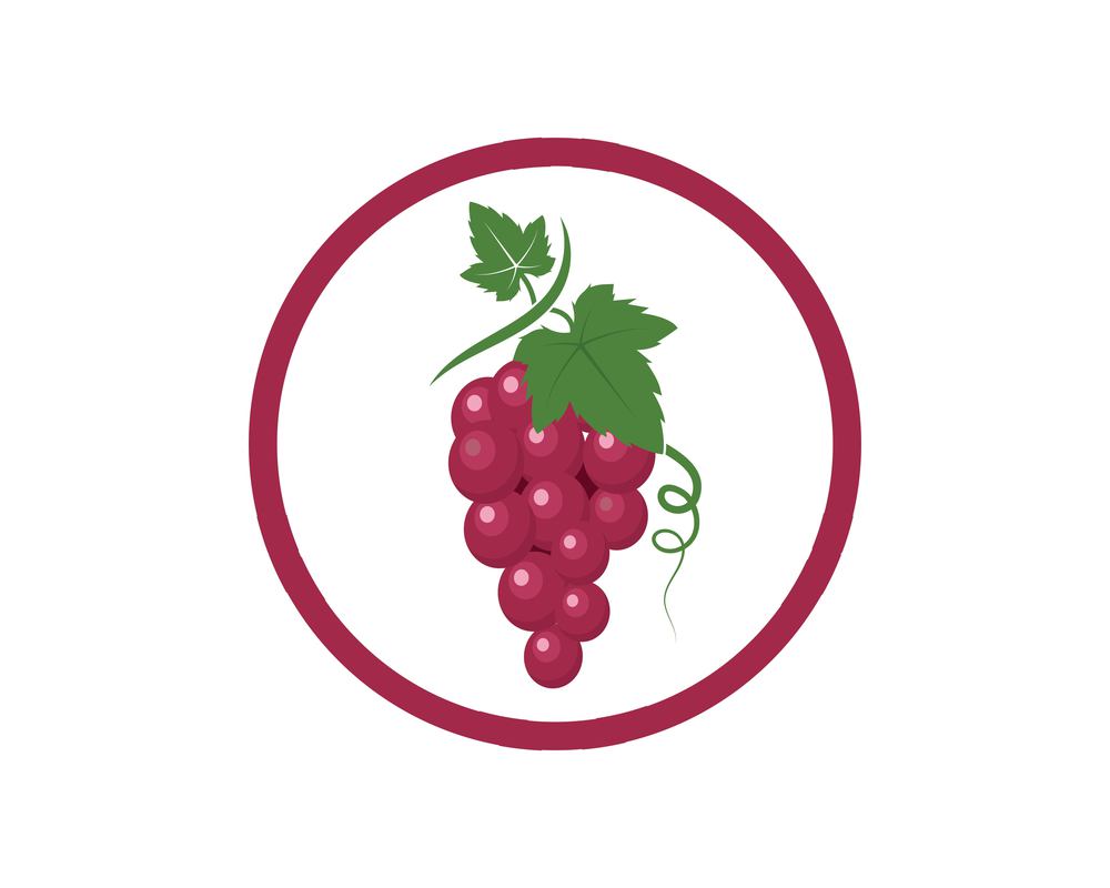 Grape fruits with leaf icon vector illustrtion  template