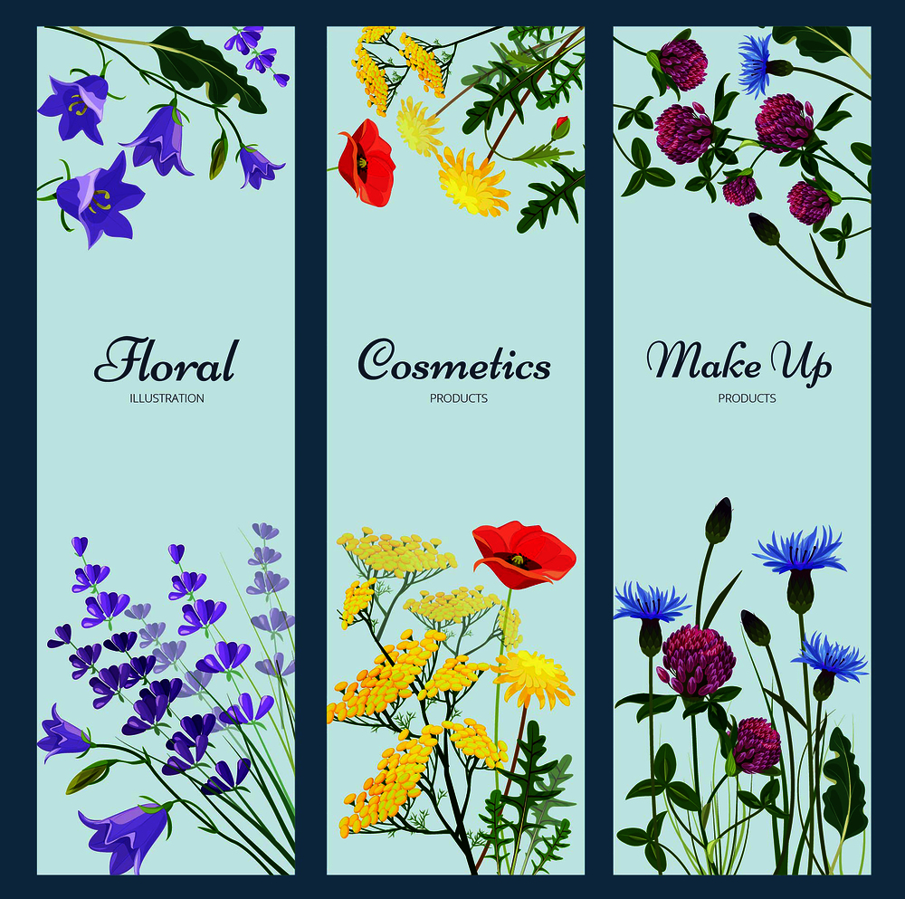 Wildflowers banners. Floral frame with place for text different herb flowers aromatherapy products nature medicine vector pictures. Illustration of natural organic wild botanical flower. Wildflowers banners. Floral frame with place for text different herb flowers aromatherapy products nature medicine vector pictures