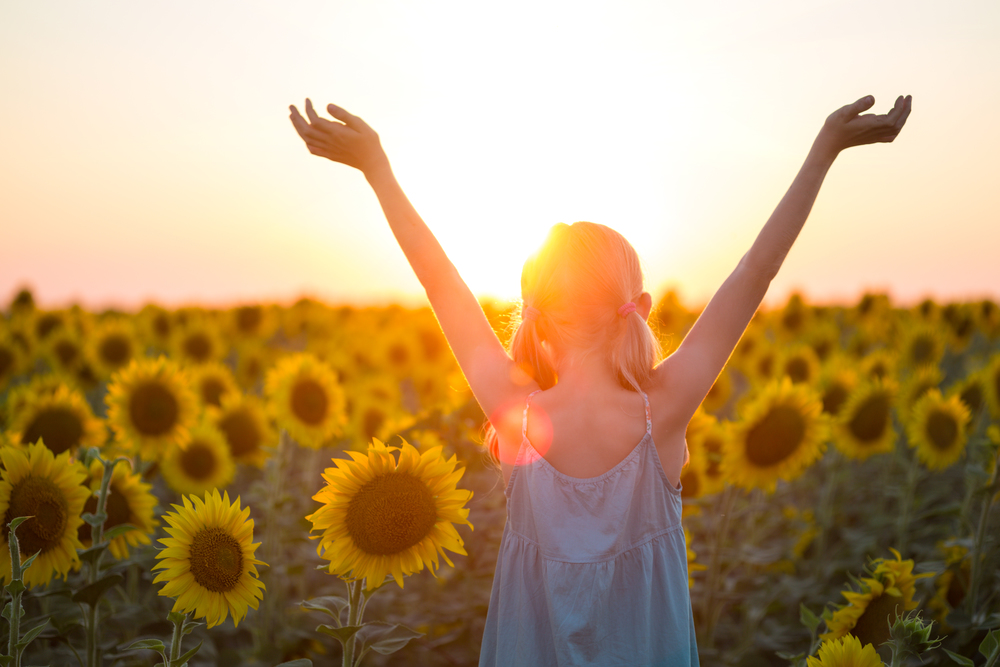 girl in a field of sunflowers at sunset. Ukraine