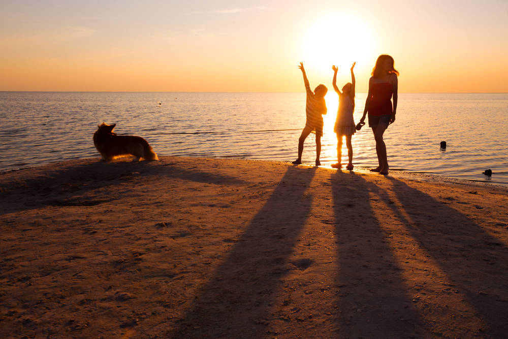 mother, daughters and dog walking on the beach at sunset. Ukrainian landscape at the Sea of Azov, Ukraine