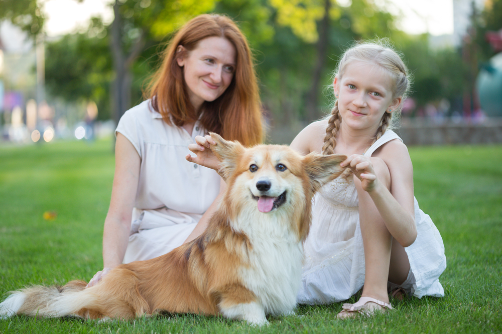 cheerful family - smiling mom and daughter and corgi fluffy  sit on the lawn