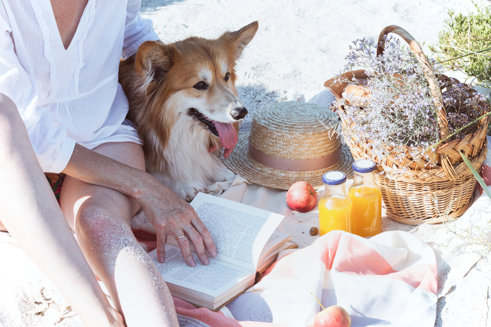 Summer - picnic by the sea. basket for a picnic with with buns, apples and juice. girl and dog on a picnic