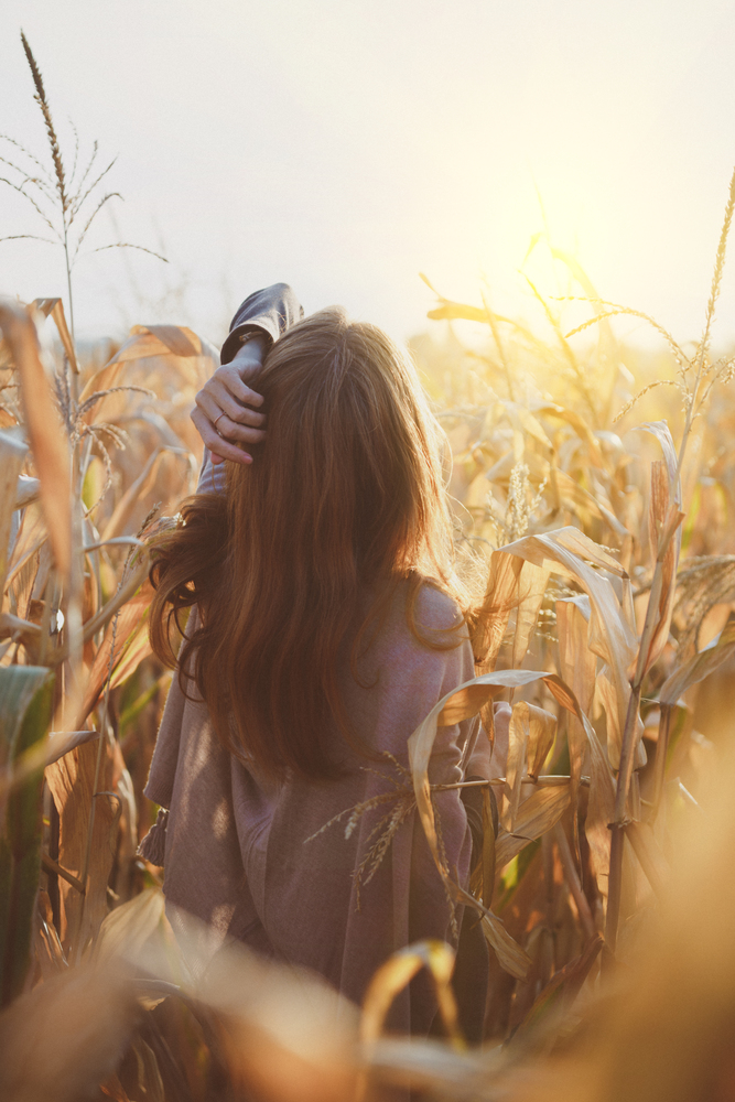 girl in the corn field. atmosphere and mood