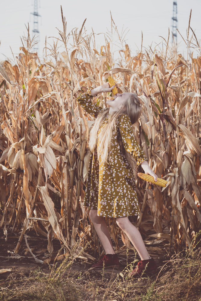 pretty blonde girl in a corn field with ears of corn