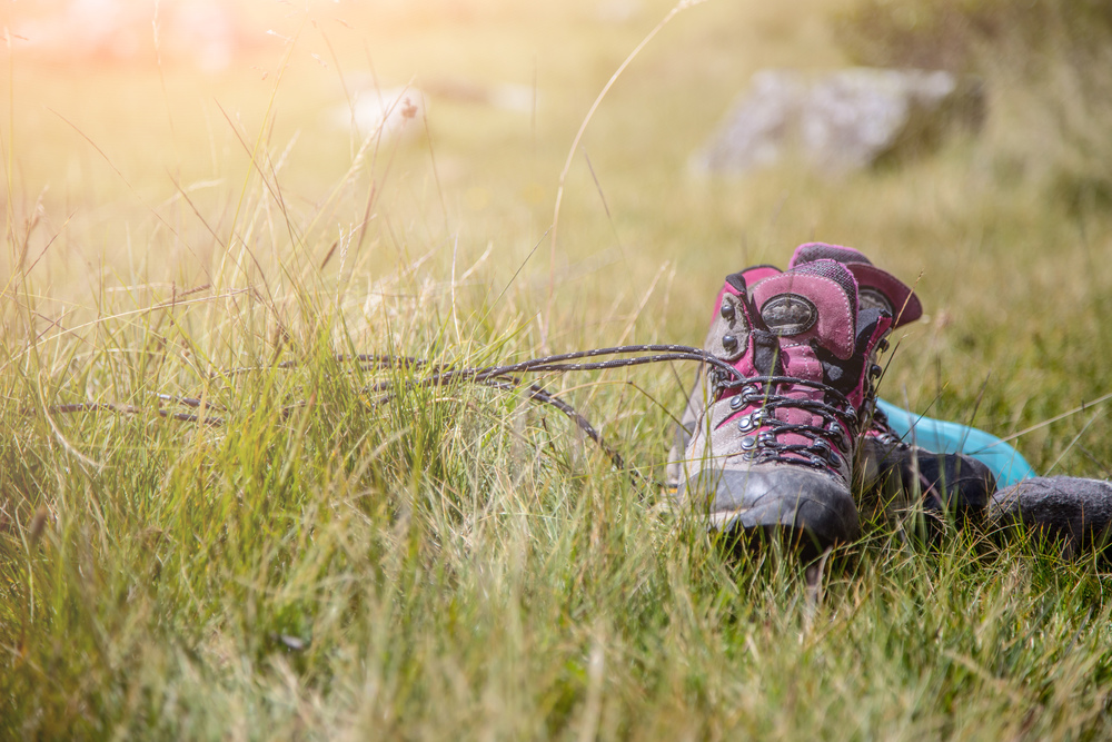 Alpine boots in the grass: hiking trip in the alps