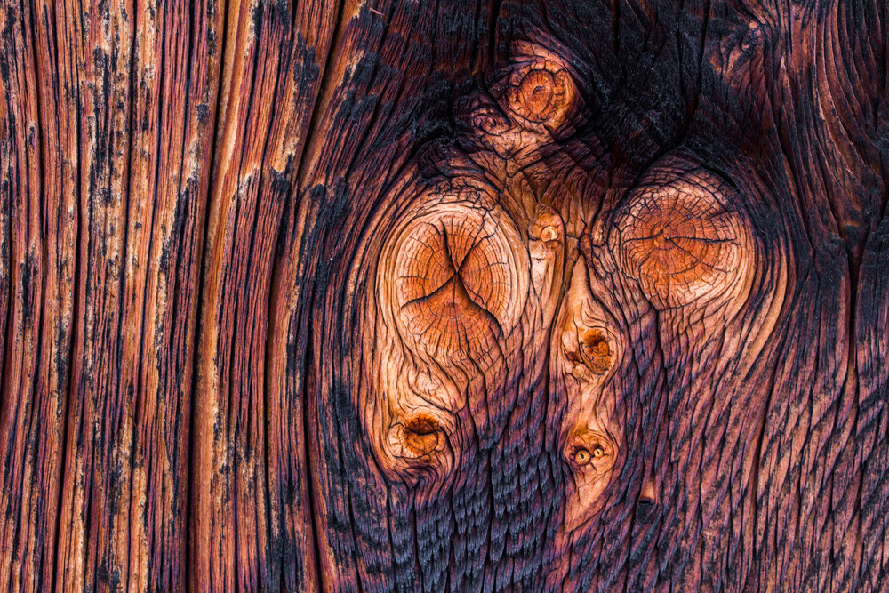 Closeup picture of old rustic wood, knothole