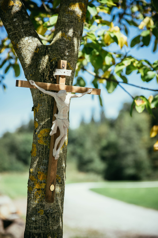 Crucifix on a tree, outdoors, jesus christ