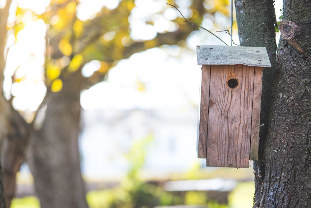 Wooden bird house on a tree, autumn time