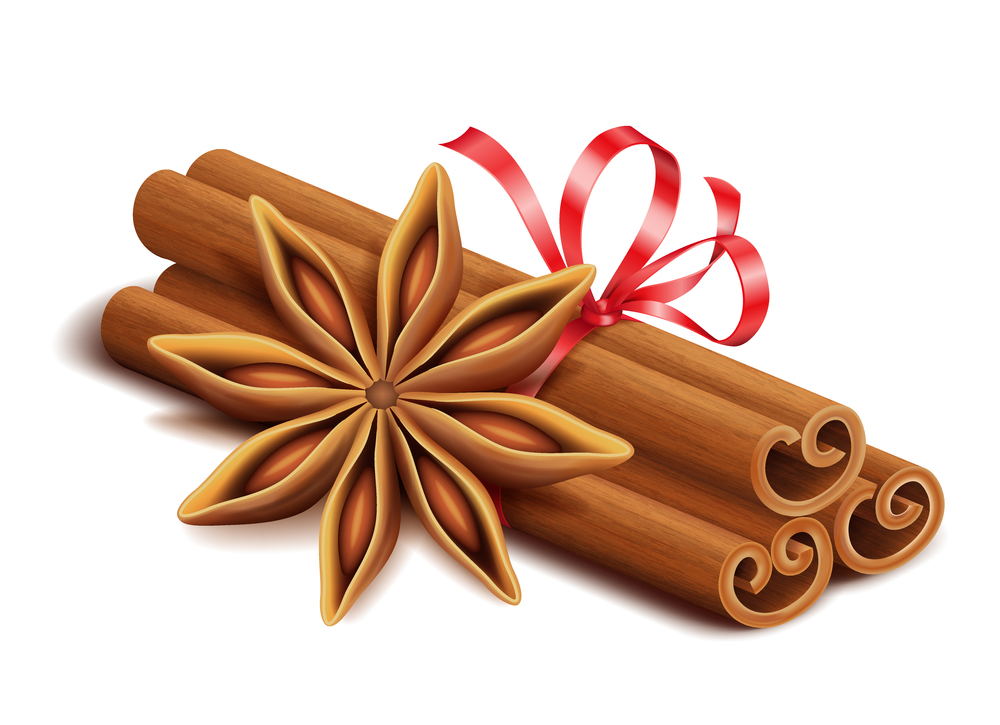 Realistic spices for Christmas mulled wine or coffee drinks, cinnamon sticks and anise star isolated on white background, vector illustration. Realistic spices, cinnamon sticks and anise star isolated