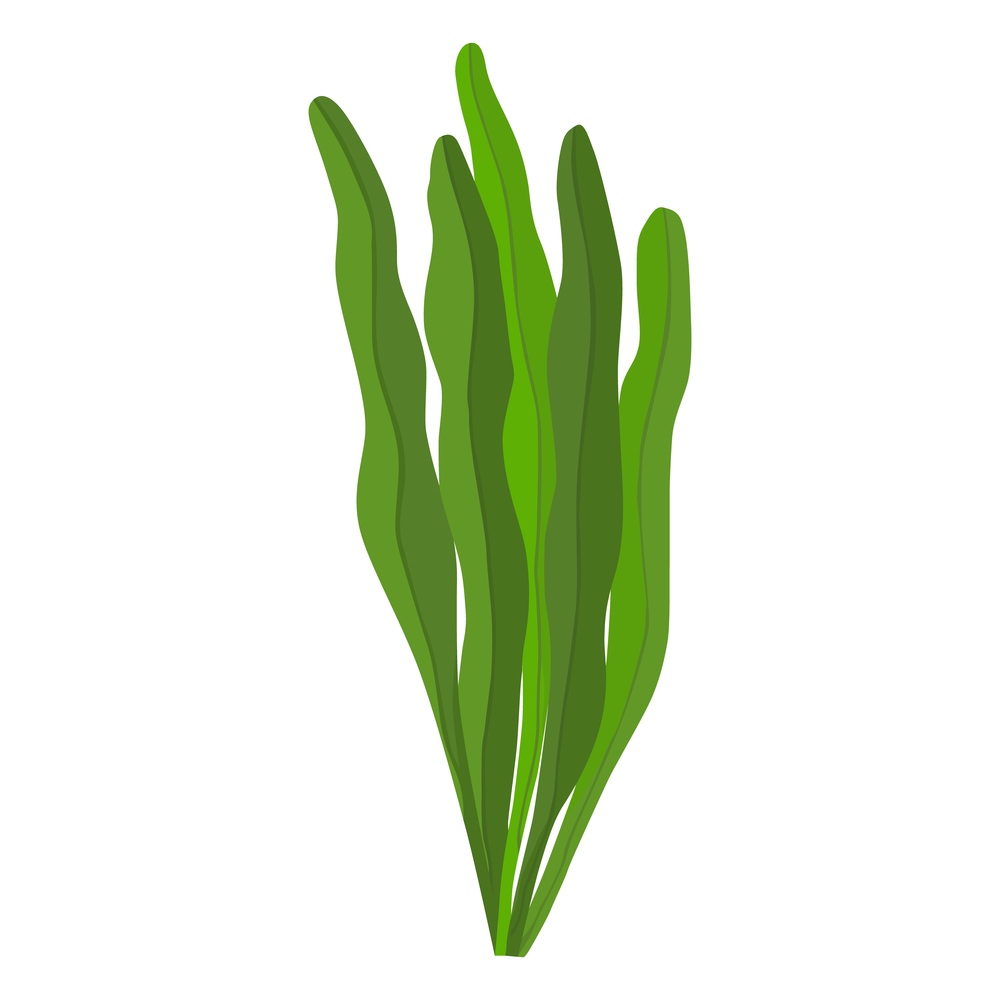 Spirulina algae vector icon on white background. algae plant. Spirulina algae vector icon on white background.