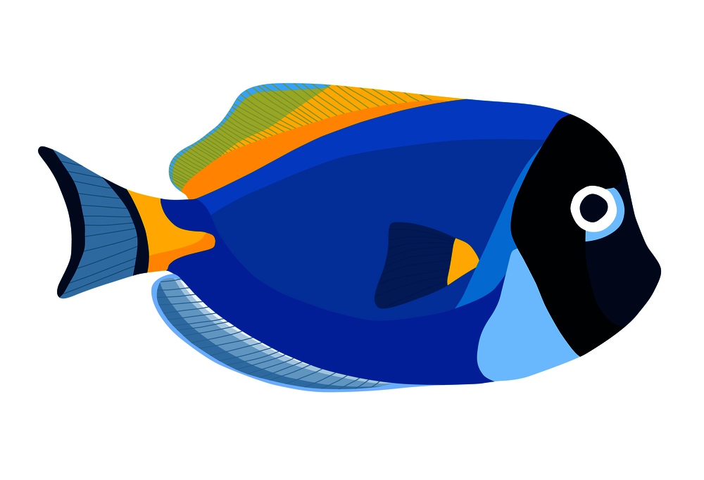 Powder blue tang fish. Acanthurus surgeon fish icon isolated on white background. Powder blue tang fish. Acanthurus surgeon fish icon