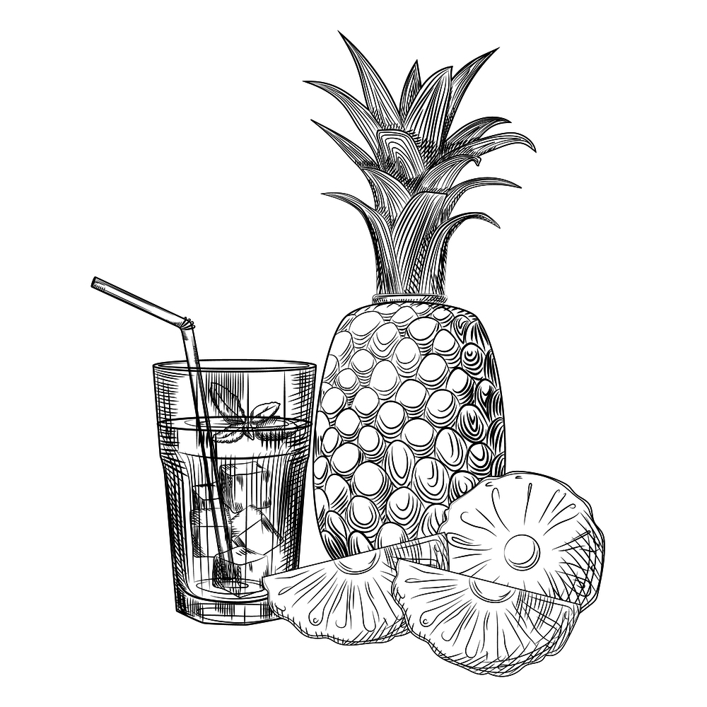 Pineapple fruit cocktail sketch. Slices of pineapple. Exotic tropical fruit juice. Engraving style. Hand drawn vector illustration isolated on white background.. Pineapple fruit cocktail sketch. Slices of pineapple.