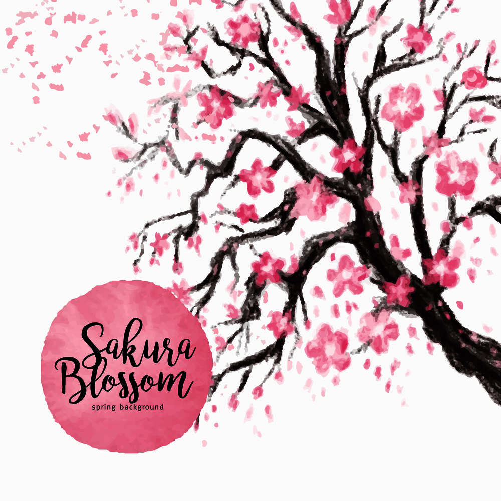 Sakura japan cherry branch with blooming flowers vector illustration.. Sakura japan cherry branch with blooming flowers vector illustration. Hand drawn style.