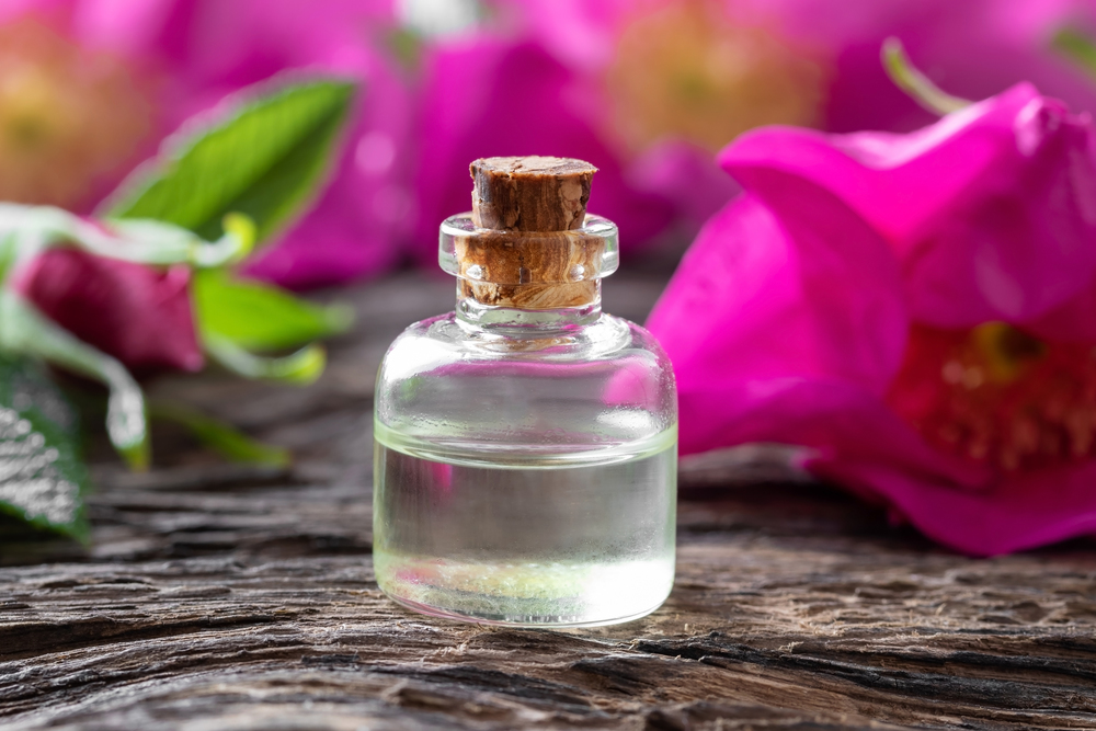 A bottle of essential oil with fresh Rugosa roses in the background