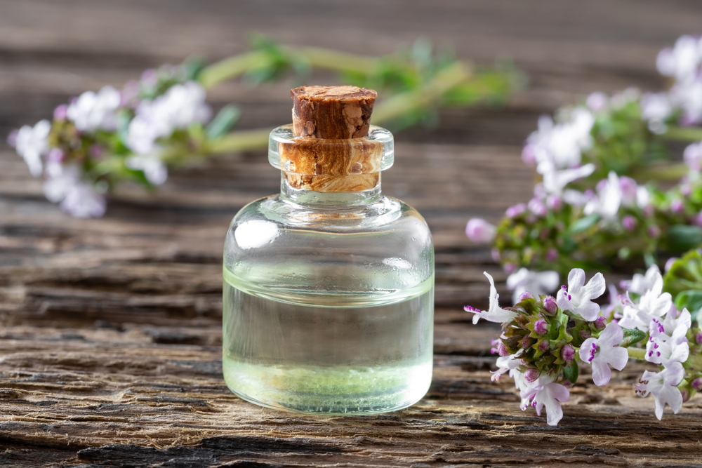 A bottle of essential oil with fresh blooming thyme on a rustic background