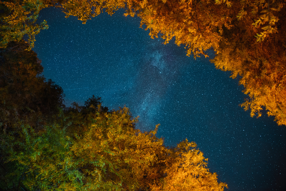 Milky Way Galaxy in Tskaltubo. Starry sky and autumn colors