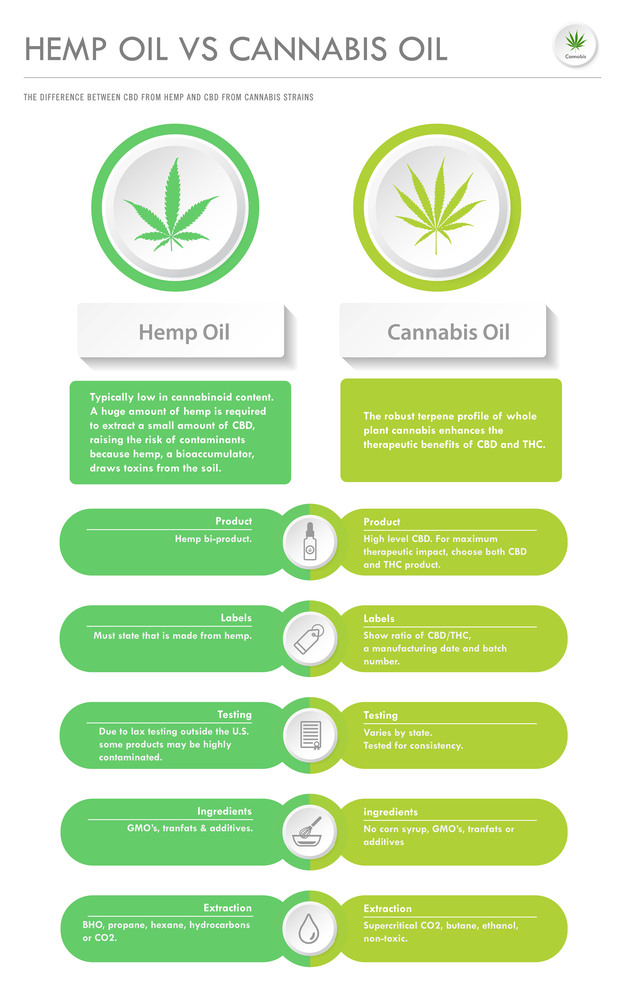 Hemp Oil vs Cannabis Oil vertical business infographic illustration about cannabis as herbal alternative medicine and chemical therapy, healthcare and medical science vector.