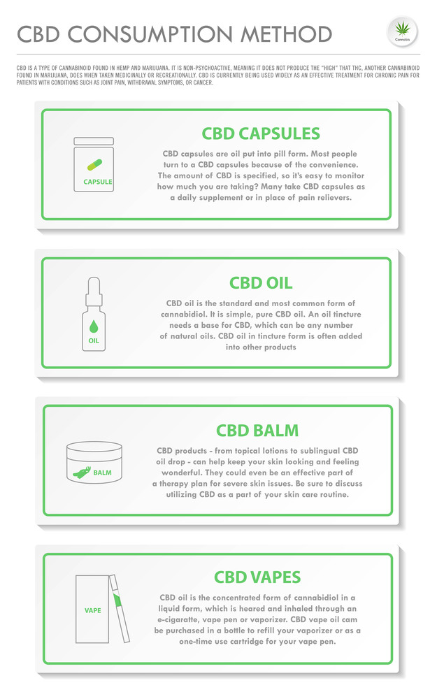 CBD Consumption Method vertical business infographic illustration about cannabis as herbal alternative medicine and chemical therapy, healthcare and medical science vector.