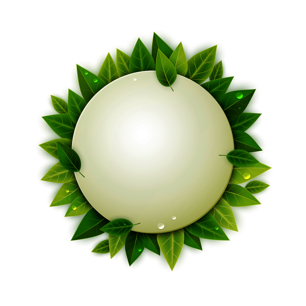 Round banner with green realistic leaves, vector illustration