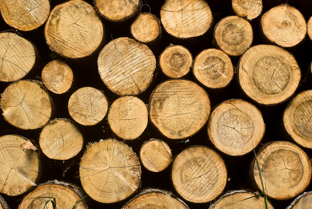 Wood logs pattern background