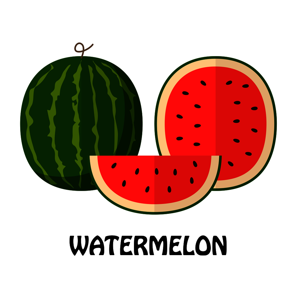 Vector Illustration Flat Watermelon isolated on white background , minimal style , Raw materials fresh fruit