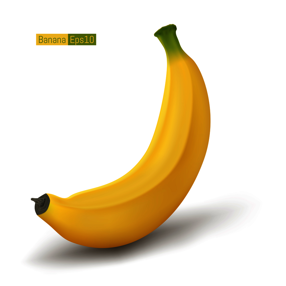 Ripe banana isolated on white background. fruit vector illustration