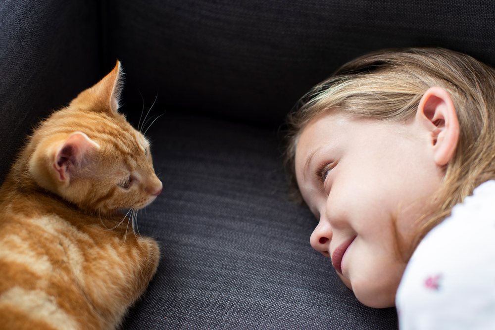 Girl Lying On Sofa At Home Looking Lovingly At Pet Cat