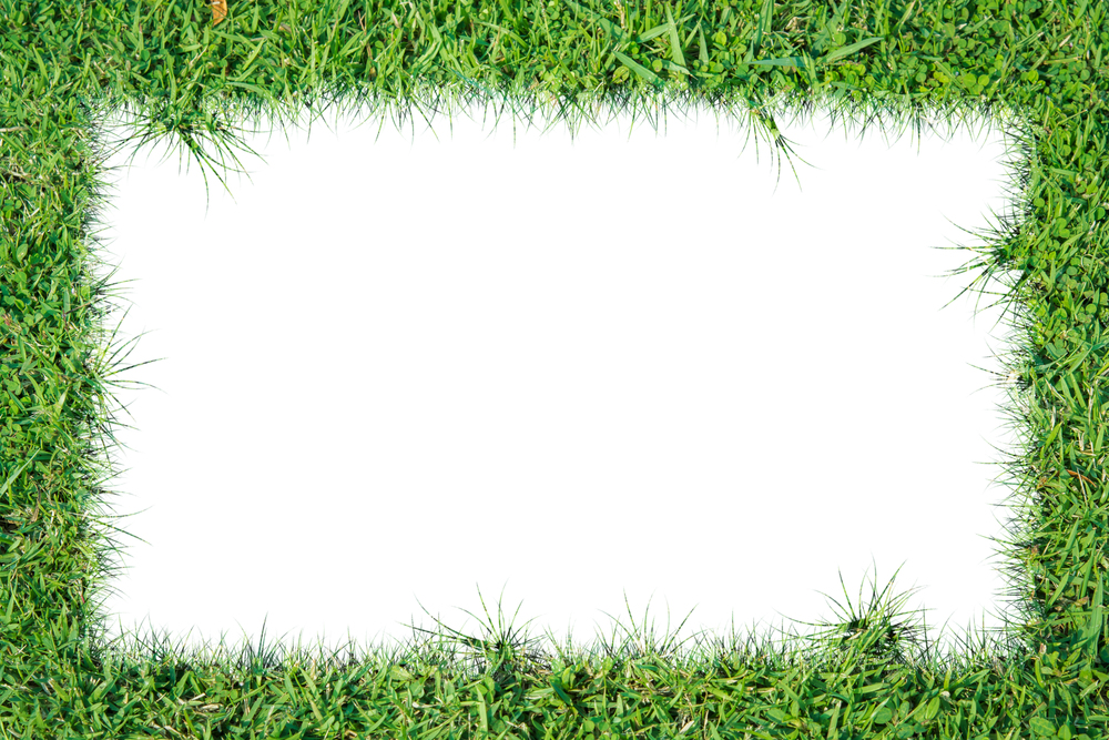 Green grass frame on over white background